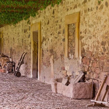 Casa Rural Casa Fuerte San Gregorio I 알마르사 외부 사진